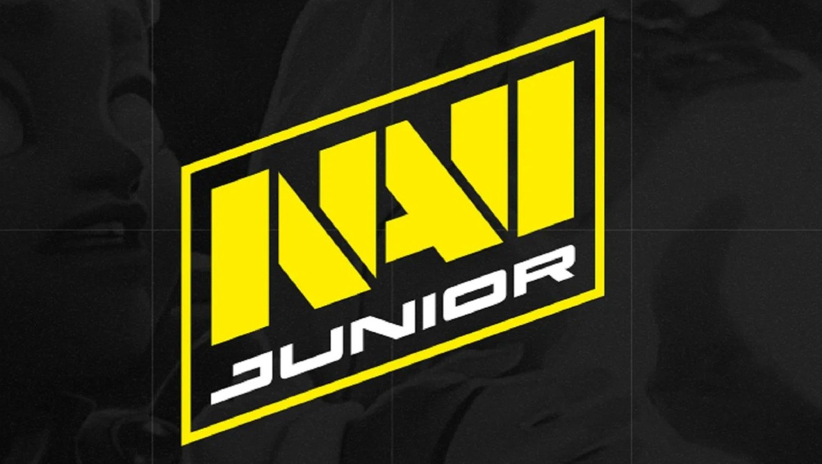 NaVi Junior сыграет с Twisted Minds на квалификации к Elite League Season 2