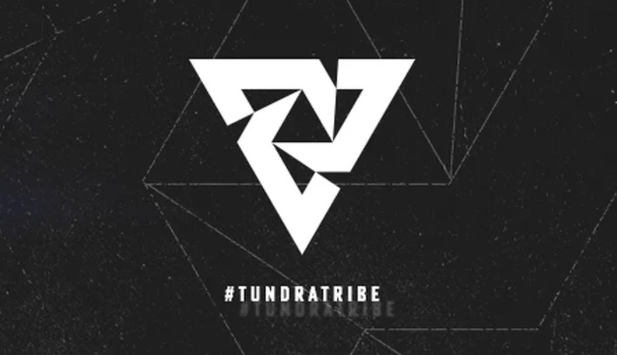 Tundra объявила о роспуске состава по Dota 2