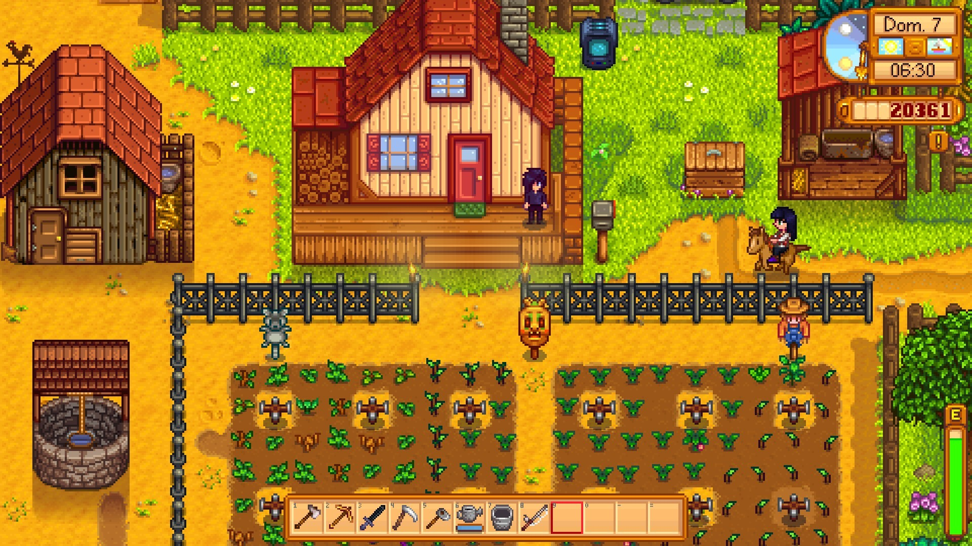 Stardew Valley