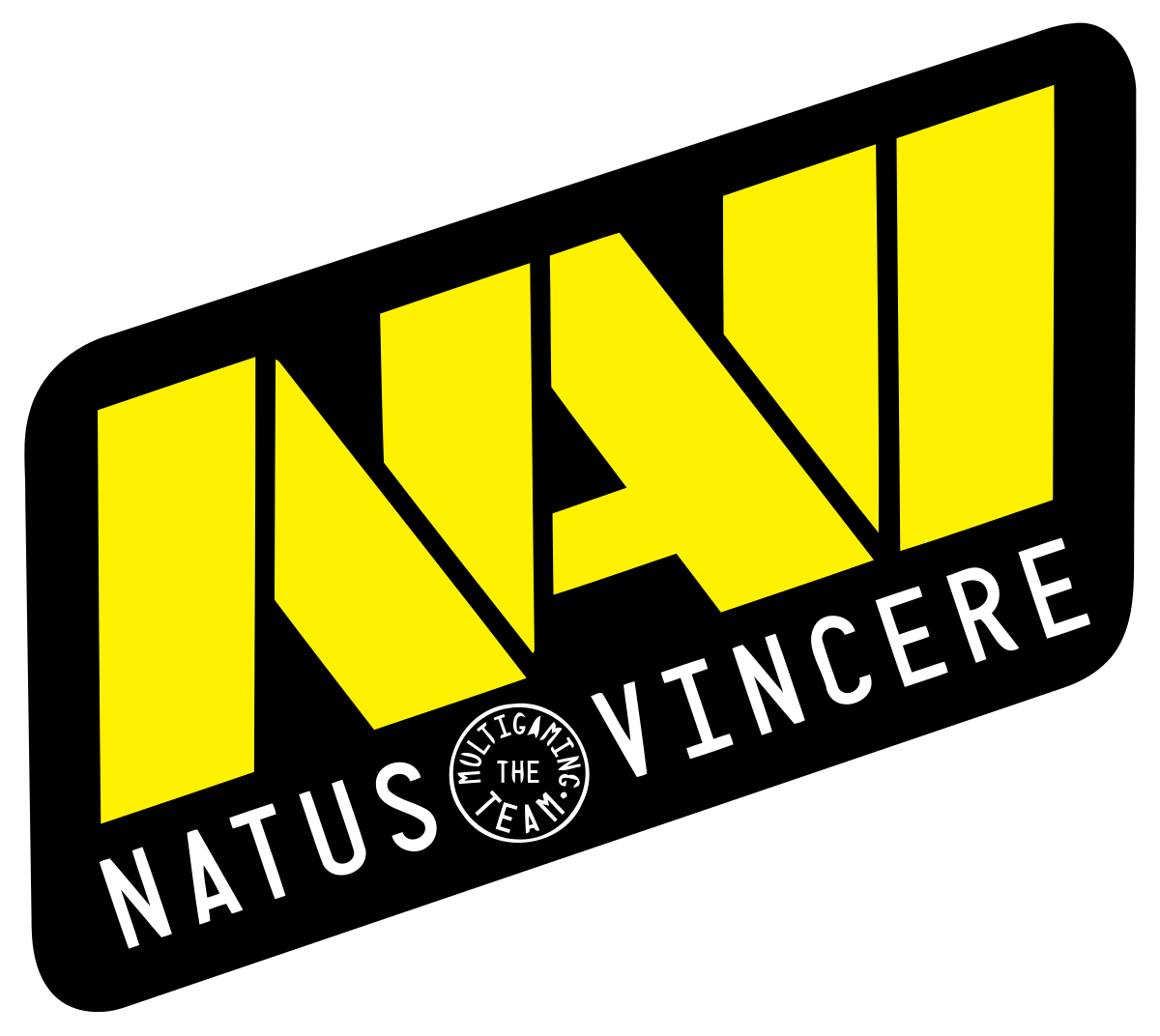 Fng рассказал о кике из Natus Vincere в 2014 году