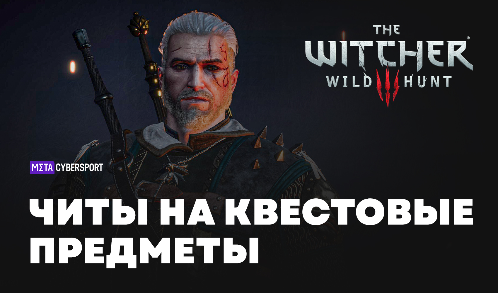 Читы на квестовые предметы в The Witcher 3: Wild Hunt