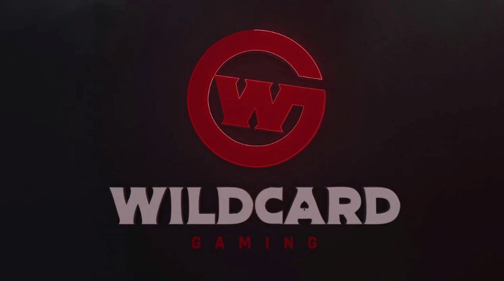 YawaR и MSS покинули ростер Wildcard Gaming по Dota 2