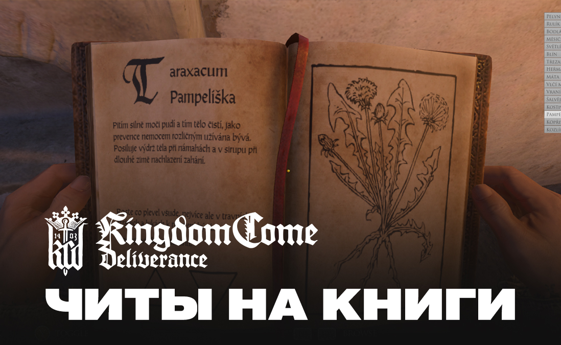 Читы на книги в Kingdom Come: Deliverance