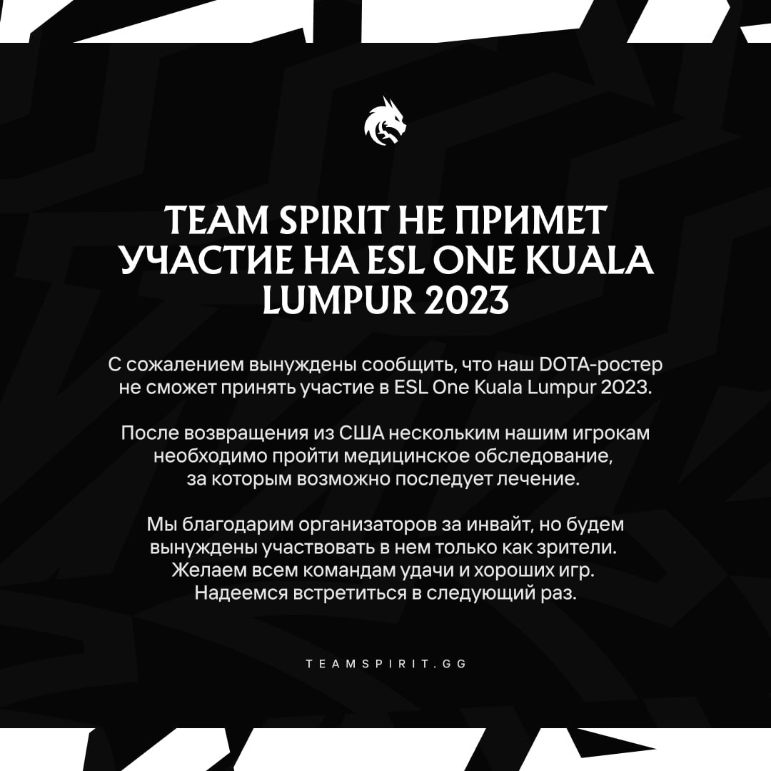 Заявление Team Spirit