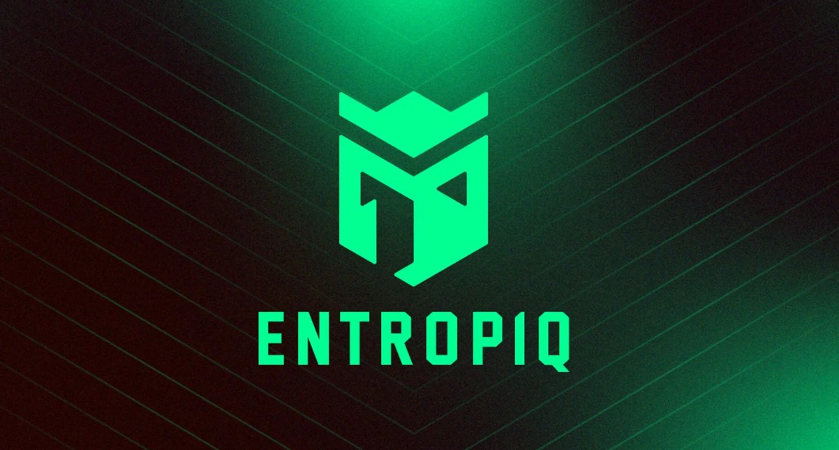 Entropiq может открыть состав по Dota 2
