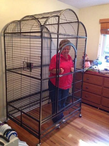 Бабушка в клетке