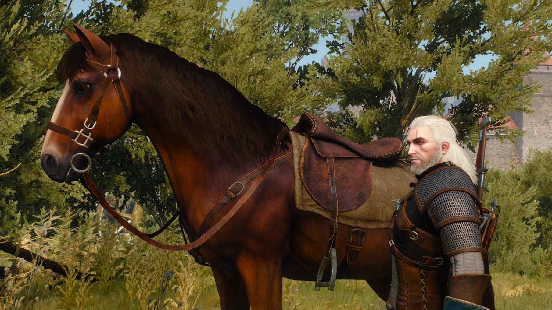 The witcher 3 geralt horse фото 8