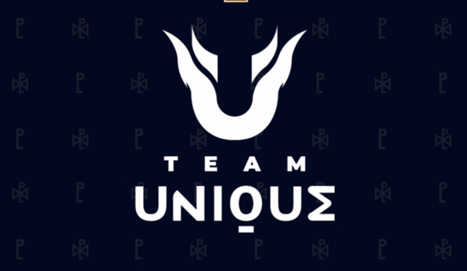 Palantimos сменит роль и покинет состав Team Unique по Dota 2
