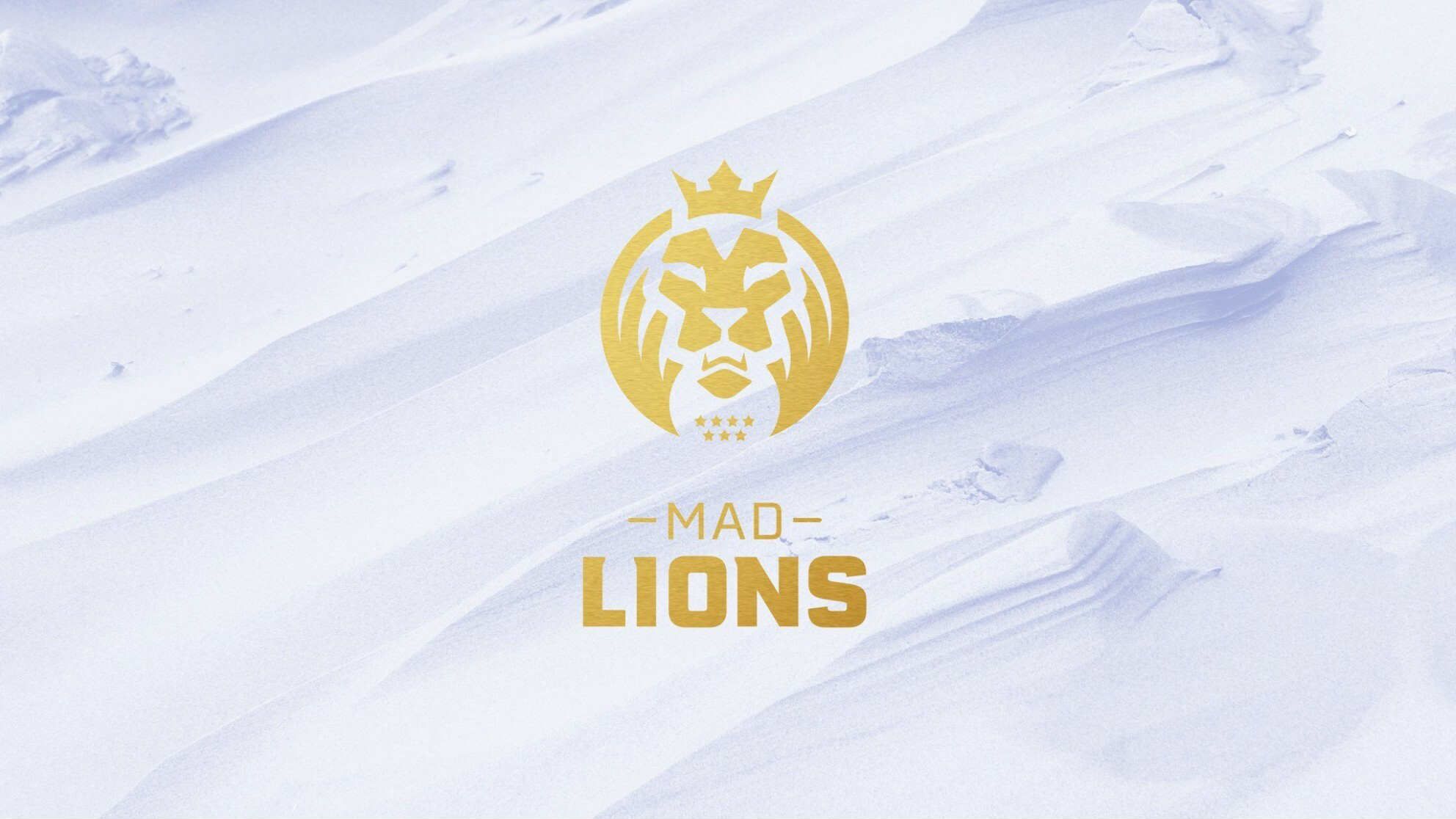 Mad Lions и BIG вышли в плей-офф DreamHack Open November 2021