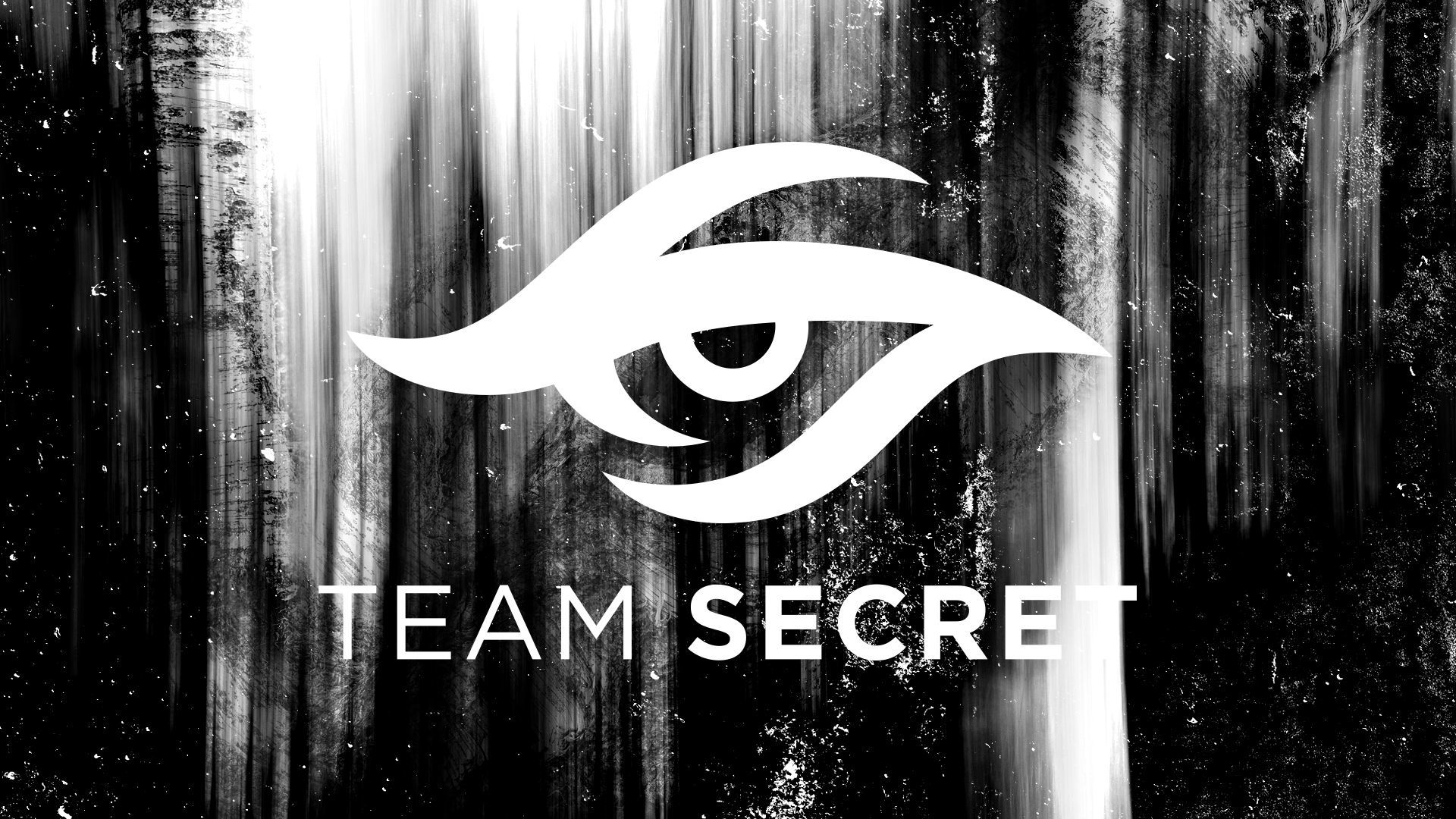 Team Secret анонсировала состав по Valorant