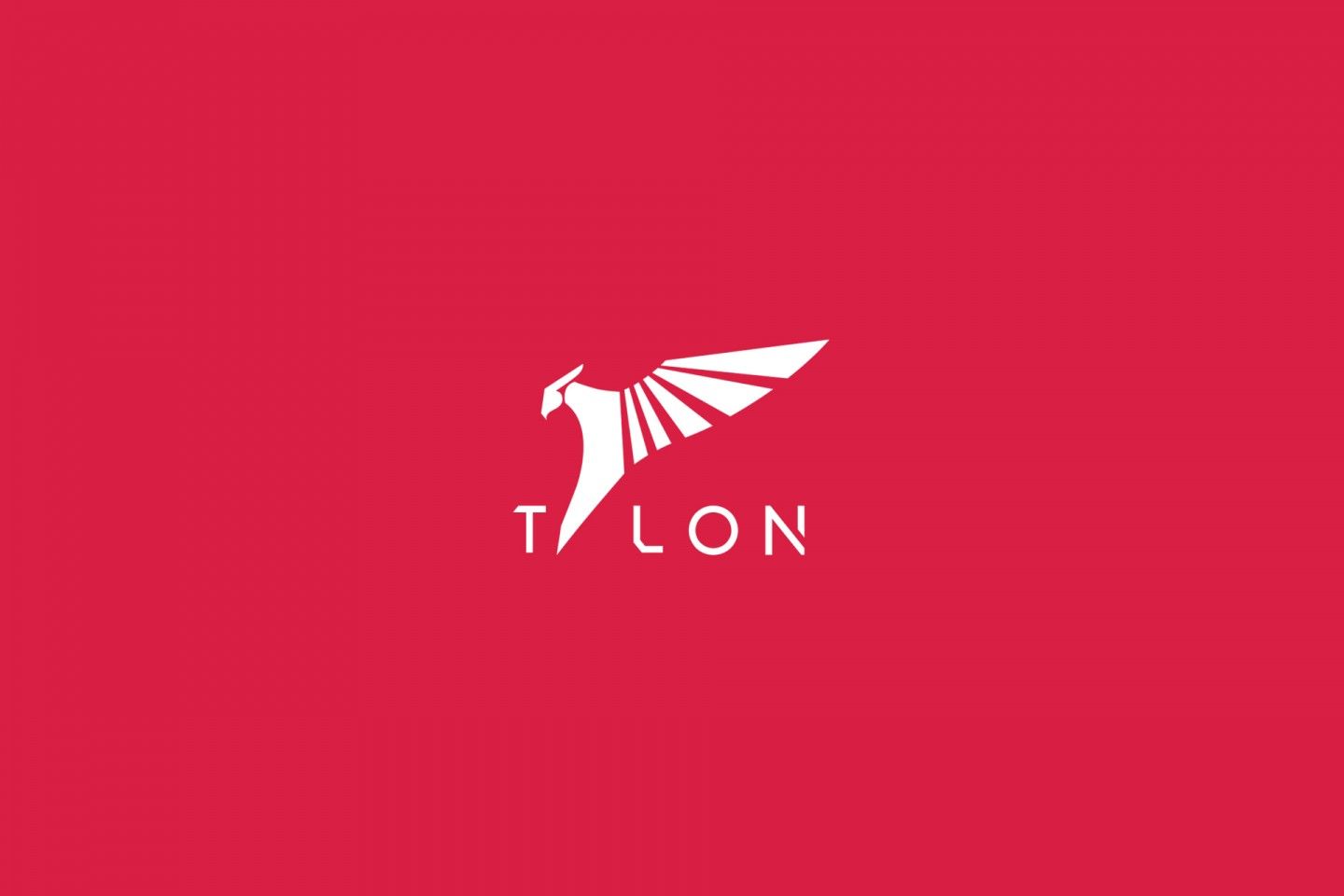 Talon Esports откроет подразделение по Dota 2