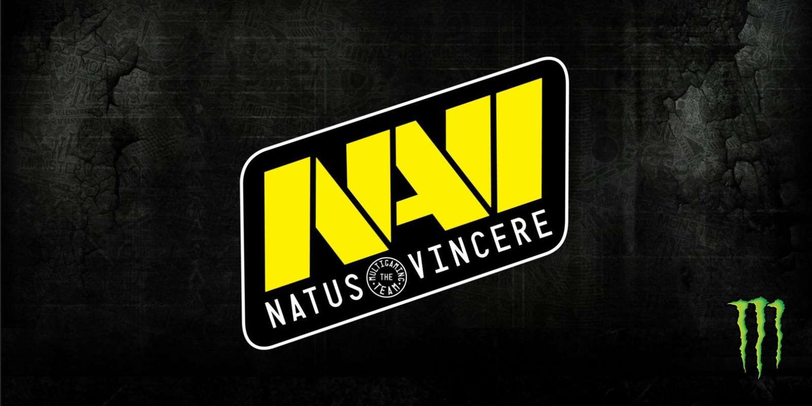 Состав NaVi по Dota 2 был переведен в инактив