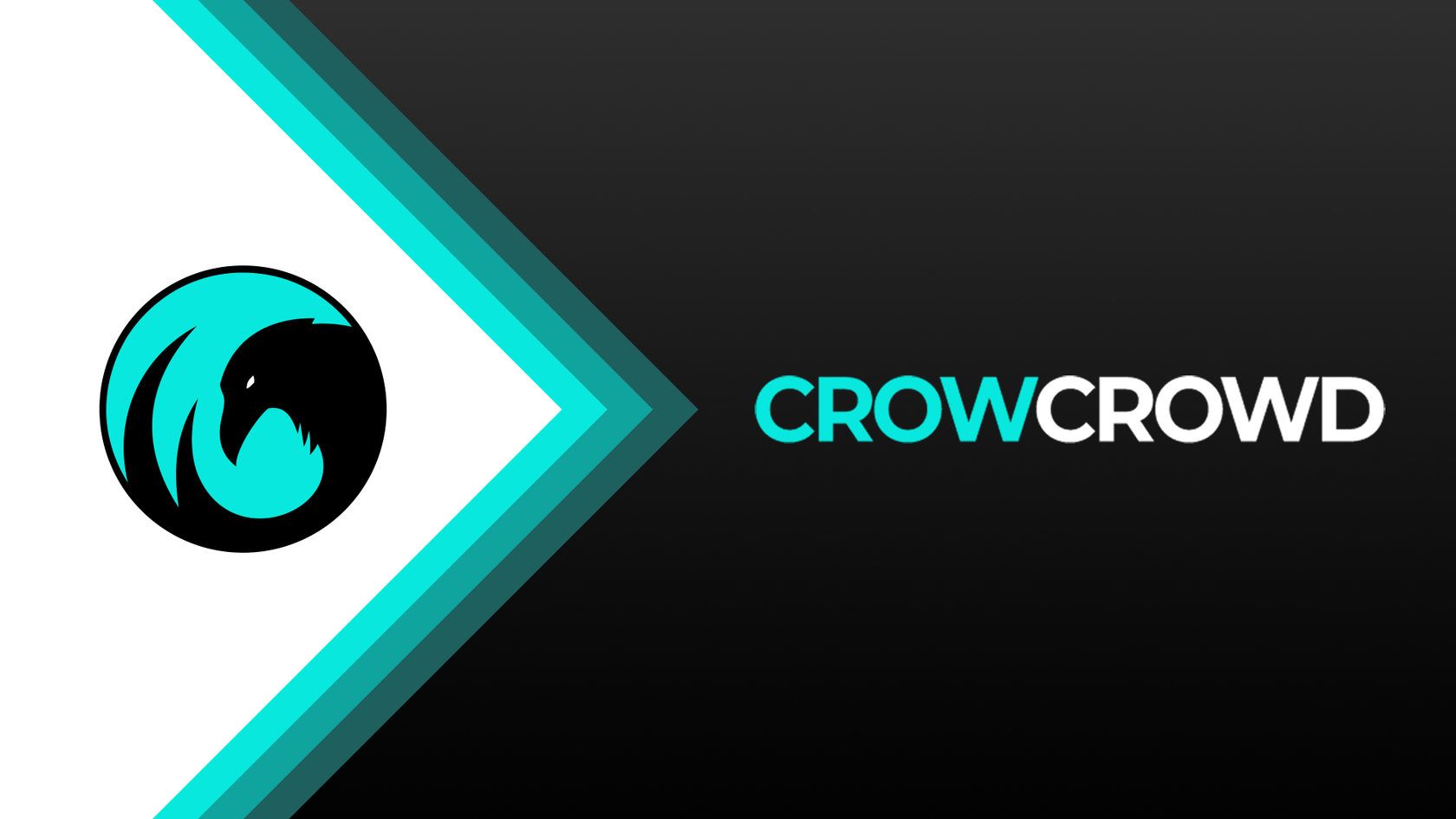 CEO CrowCrowd опроверг слухи о продаже клуба за 3 млн. долларов
