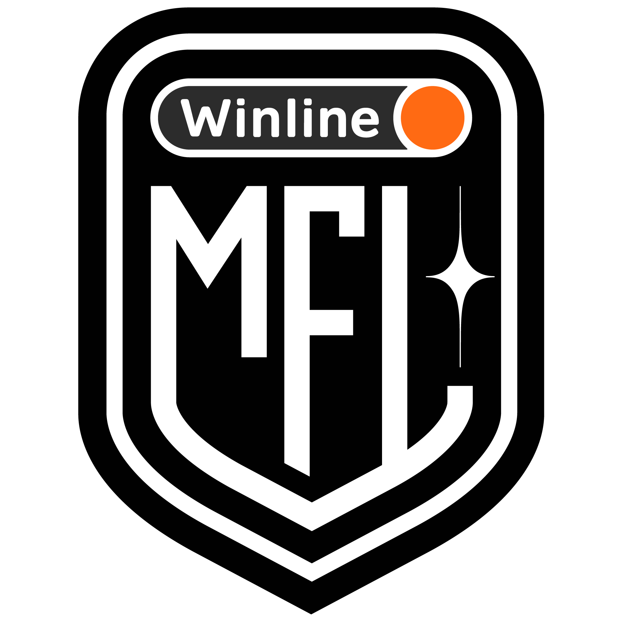 Конкурс прогнозов на Winline Медийную футбольную лигу (МФЛ)