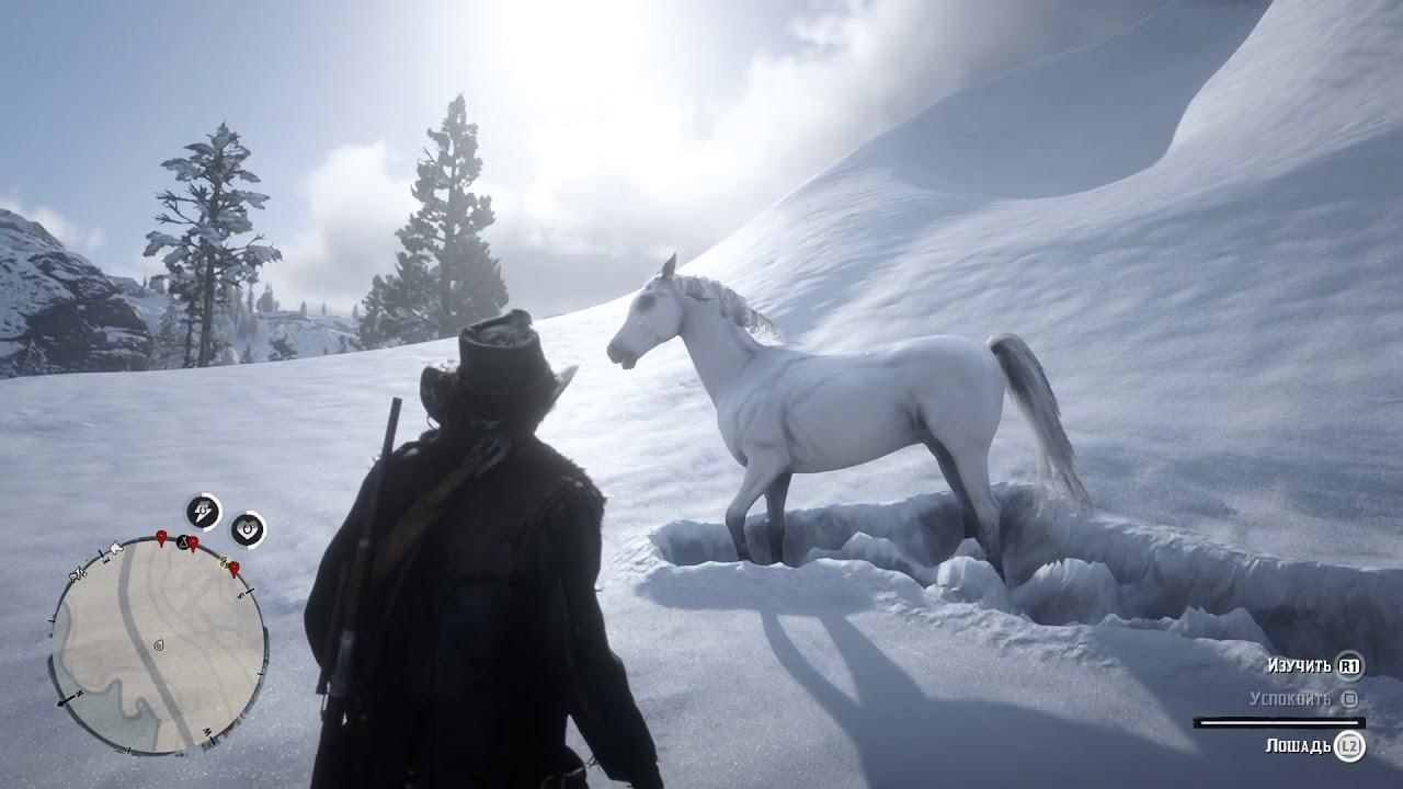 Red Dead Redemption 2 лошадь